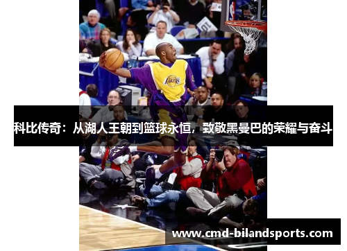 科比传奇：从湖人王朝到篮球永恒，致敬黑曼巴的荣耀与奋斗
