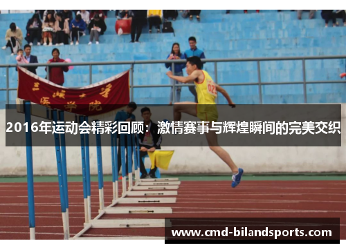 2016年运动会精彩回顾：激情赛事与辉煌瞬间的完美交织