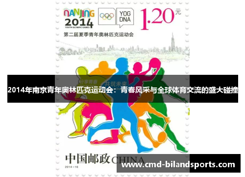 2014年南京青年奥林匹克运动会：青春风采与全球体育交流的盛大碰撞