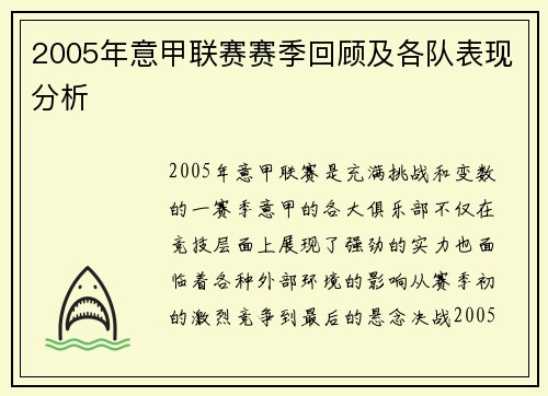 2005年意甲联赛赛季回顾及各队表现分析